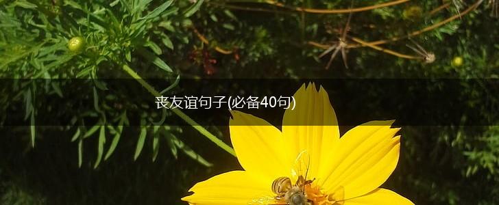 丧友谊句子(必备40句),第1张