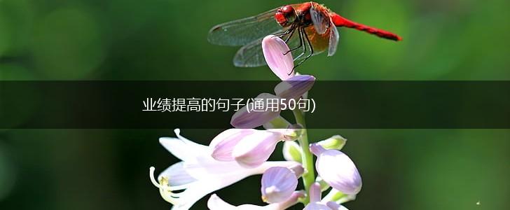 业绩提高的句子(通用50句),第1张