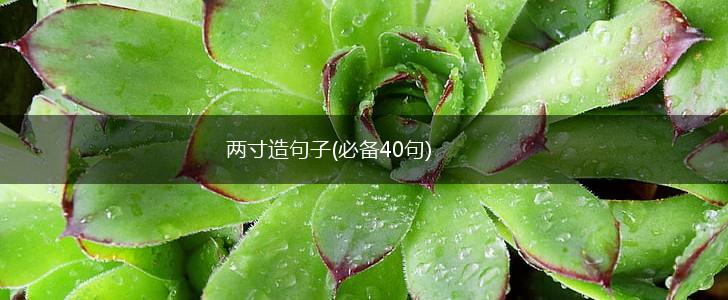 两寸造句子(必备40句),第1张