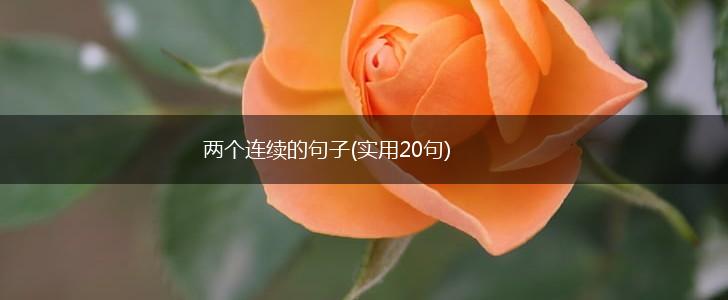 两个连续的句子(实用20句),第1张