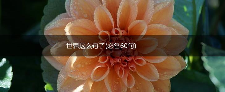 世界这么句子(必备60句),第1张