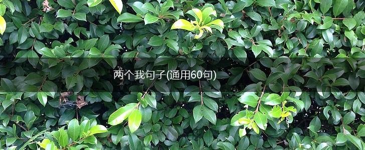 两个我句子(通用60句),第1张
