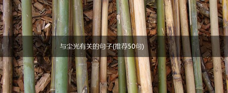 与尘光有关的句子(推荐50句),第1张