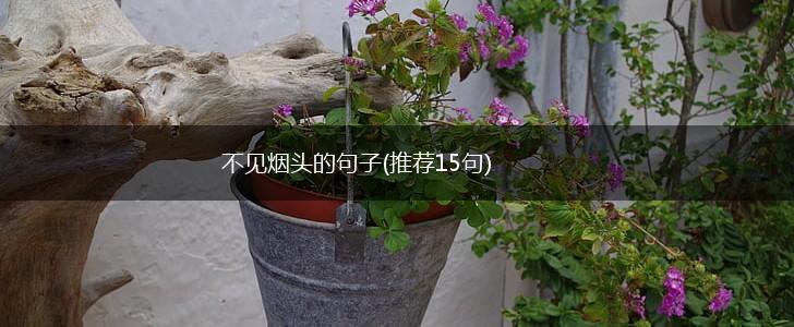 不见烟头的句子(推荐15句),第1张