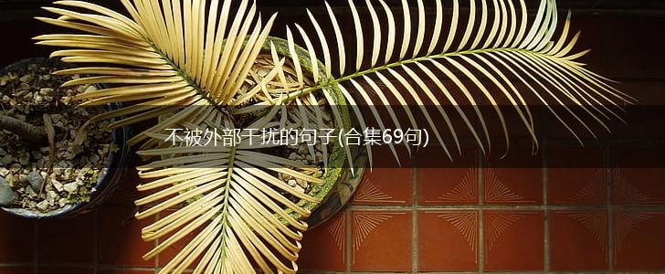 不被外部干扰的句子(合集69句),第1张