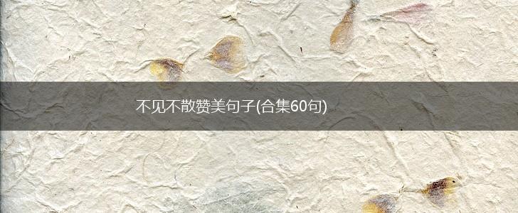 不见不散赞美句子(合集60句),第1张
