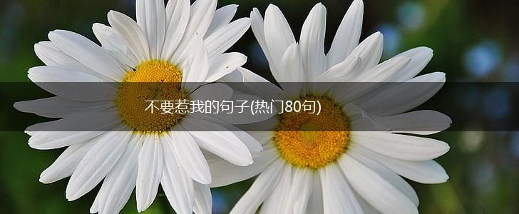 不要惹我的句子(热门80句),第1张