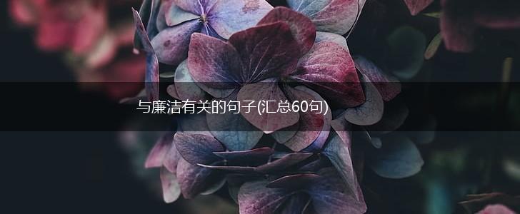 与廉洁有关的句子(汇总60句),第1张