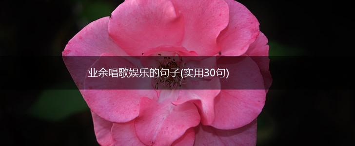 业余唱歌娱乐的句子(实用30句),第1张