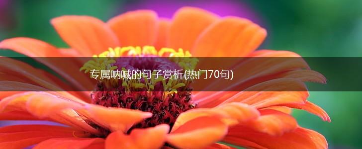 专属呐喊的句子赏析(热门70句),第1张