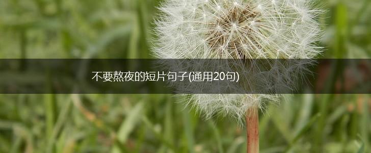 不要熬夜的短片句子(通用20句),第1张