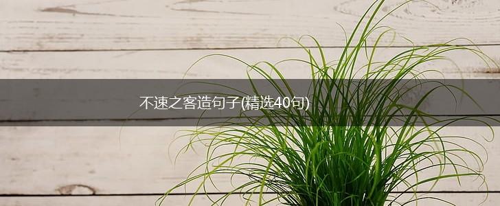 不速之客造句子(精选40句),第1张
