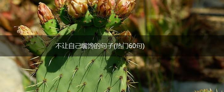 不让自己嘴馋的句子(热门60句),第1张