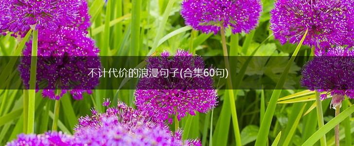 不计代价的浪漫句子(合集60句),第1张