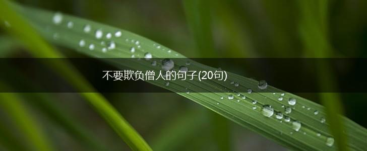 不要欺负僧人的句子(20句),第1张