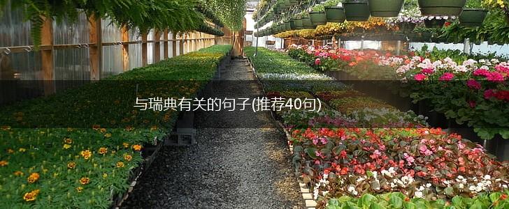 与瑞典有关的句子(推荐40句),第1张