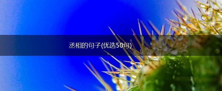 丞相的句子(优选50句),第1张