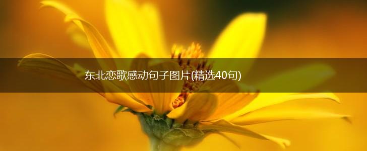 东北恋歌感动句子图片(精选40句),第1张