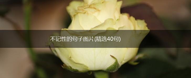 不记性的句子图片(精选40句),第1张