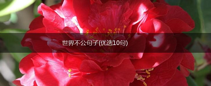 世界不公句子(优选10句),第1张
