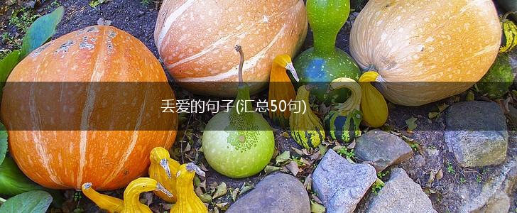 丢爱的句子(汇总50句),第1张
