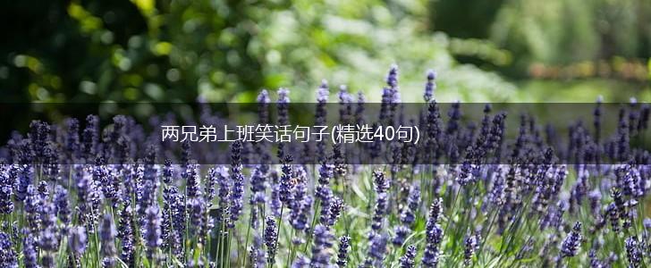两兄弟上班笑话句子(精选40句),第1张
