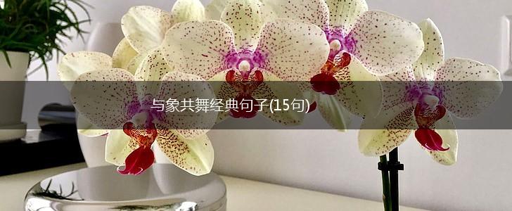 与象共舞经典句子(15句),第1张