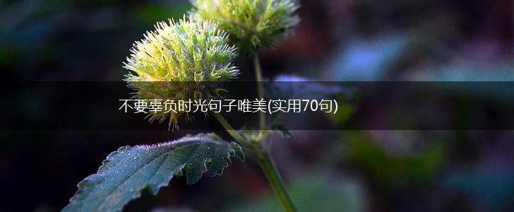 不要辜负时光句子唯美(实用70句),第1张