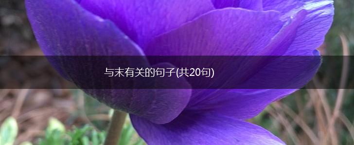 与末有关的句子(共20句),第1张