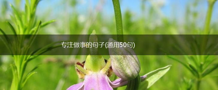 专注做事的句子(通用50句),第1张