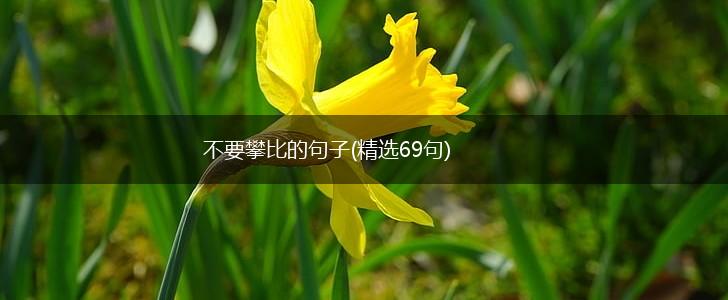不要攀比的句子(精选69句),第1张