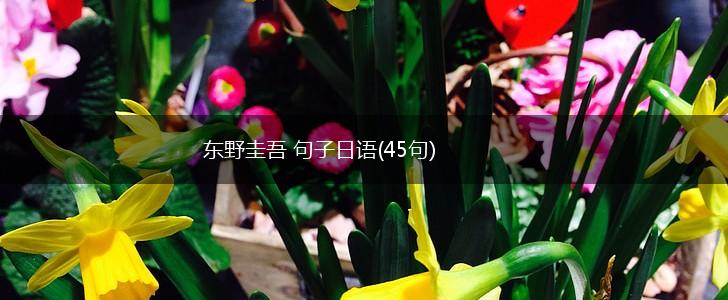 东野圭吾 句子日语(45句),第1张