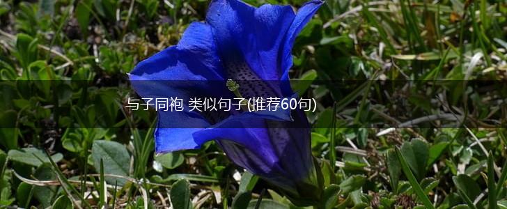 与子同袍 类似句子(推荐60句),第1张