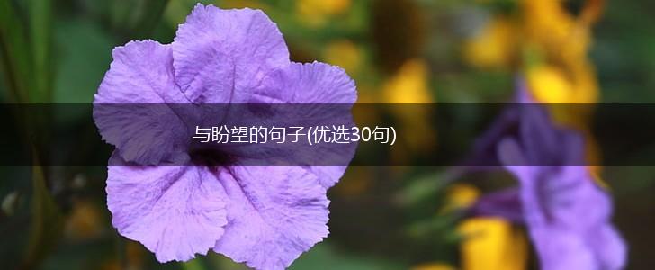 与盼望的句子(优选30句),第1张