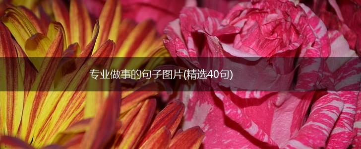 专业做事的句子图片(精选40句),第1张