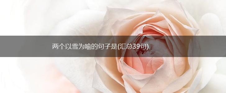 两个以雪为喻的句子是(汇总39句),第1张
