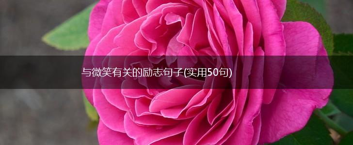 与微笑有关的励志句子(实用50句),第1张