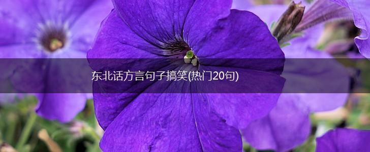东北话方言句子搞笑(热门20句),第1张