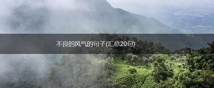 不良的风气的句子(汇总20句),第1张