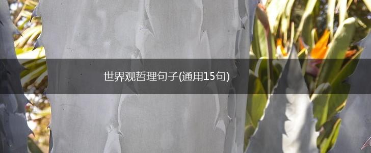 世界观哲理句子(通用15句),第1张