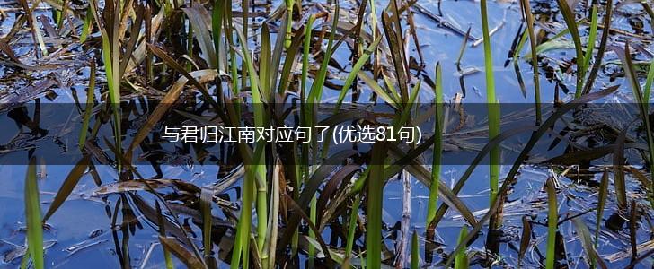 与君归江南对应句子(优选81句),第1张