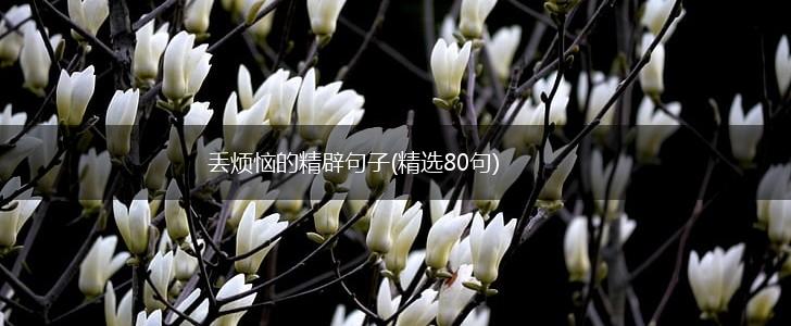 丢烦恼的精辟句子(精选80句),第1张