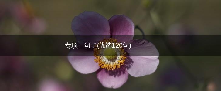 专项三句子(优选120句),第1张