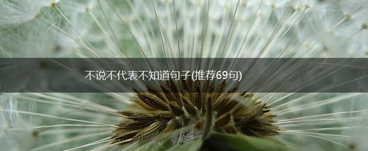 不说不代表不知道句子(推荐69句),第1张