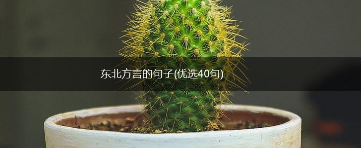 东北方言的句子(优选40句),第1张