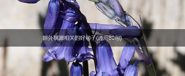 世外桃源相关的好句子(通用80句),第1张