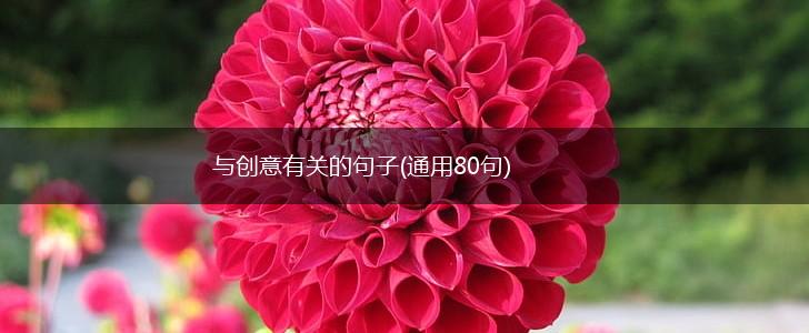与创意有关的句子(通用80句),第1张