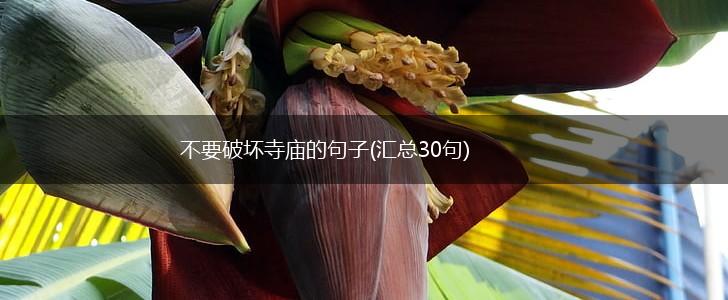 不要破坏寺庙的句子(汇总30句),第1张
