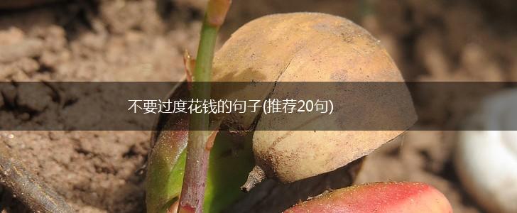 不要过度花钱的句子(推荐20句),第1张
