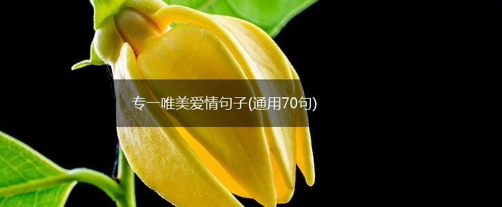 专一唯美爱情句子(通用70句),第1张